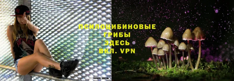 Псилоцибиновые грибы Magic Shrooms  где продают наркотики  Ялуторовск 